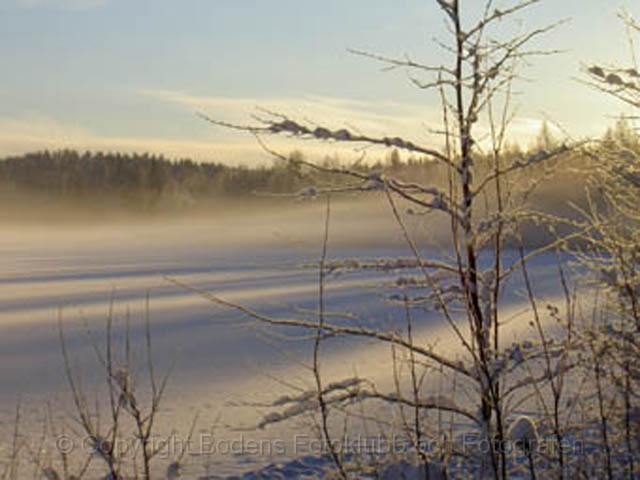 MEE 05 Kv 4.jpg 640 dpi bredd.jpg - Kusträsk